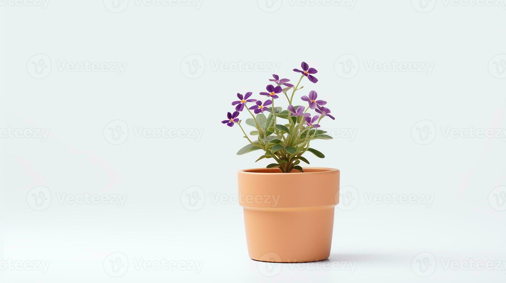 Photo of Wallflower in pot isolated on white background. Generative AI