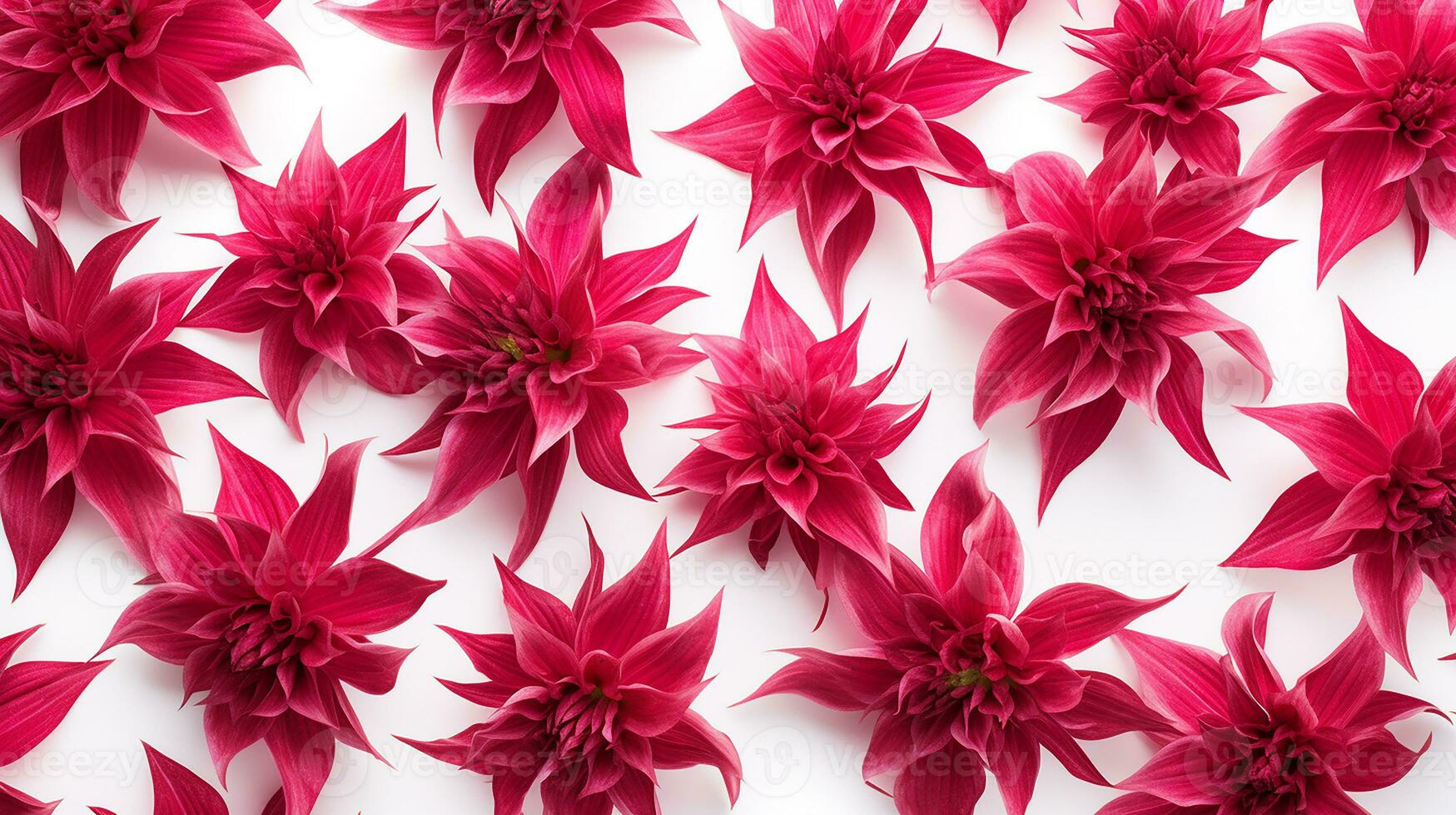 Bee Balm flower pattern background. Bee Balm flower background texture. Generative AI photo