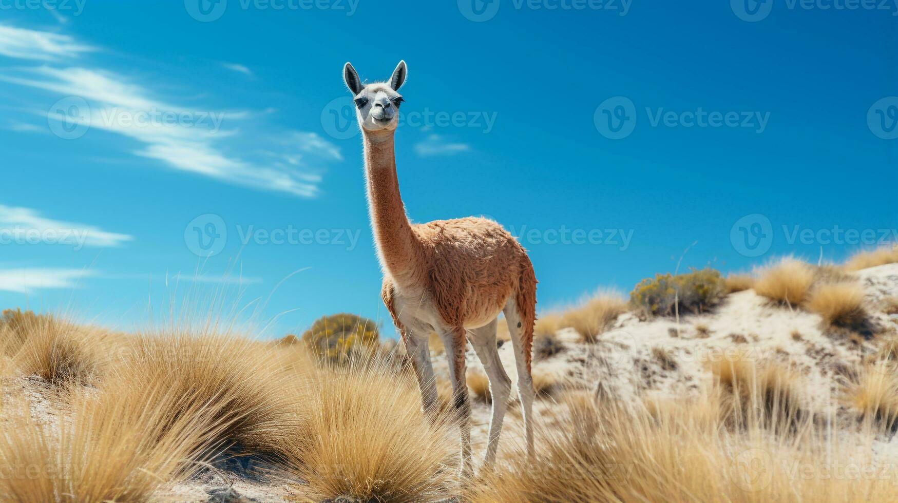 foto de un vicuña debajo azul cielo. generativo ai