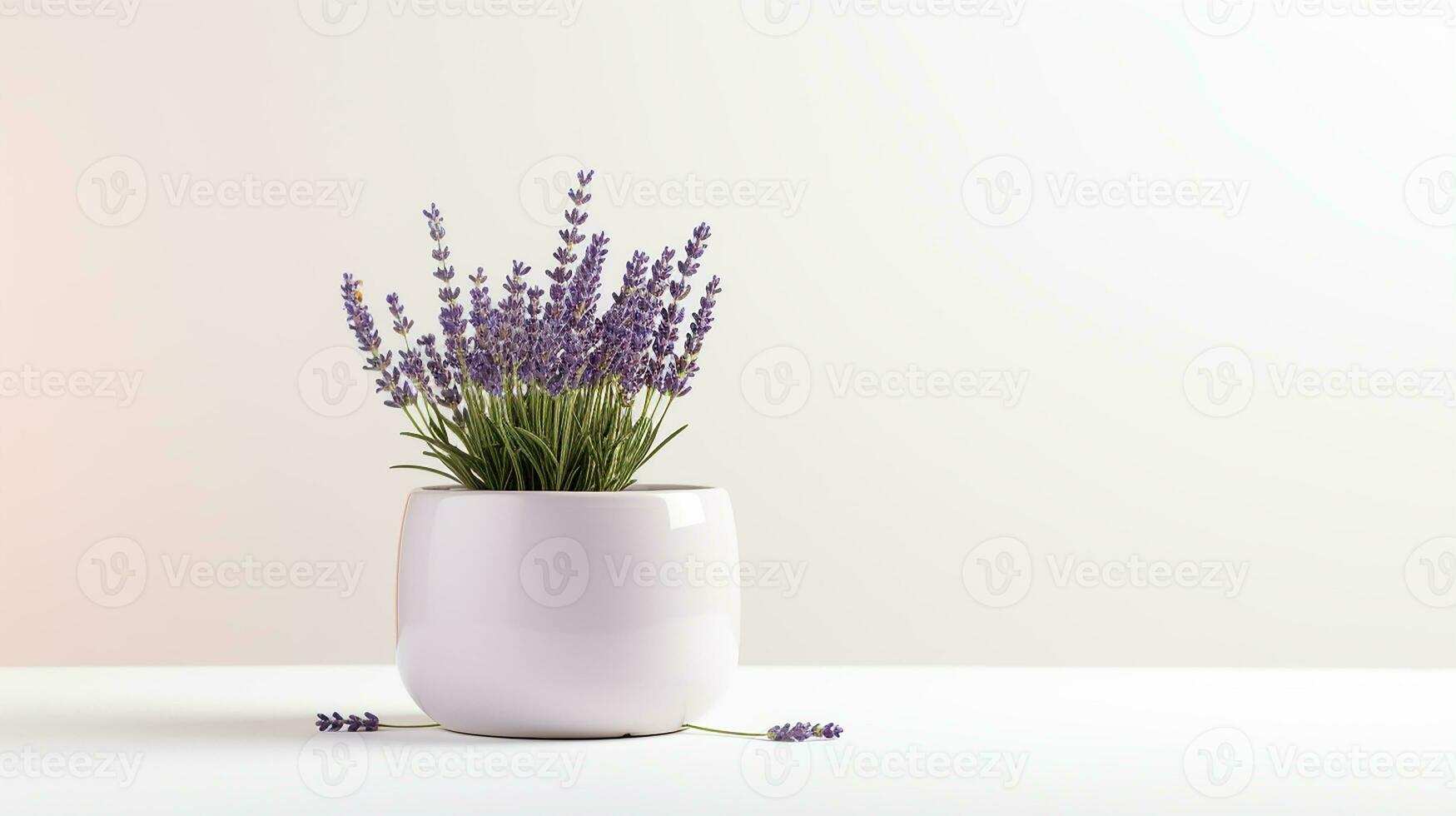 Photo of Lavender flower in pot isolated on white background. Generative AI