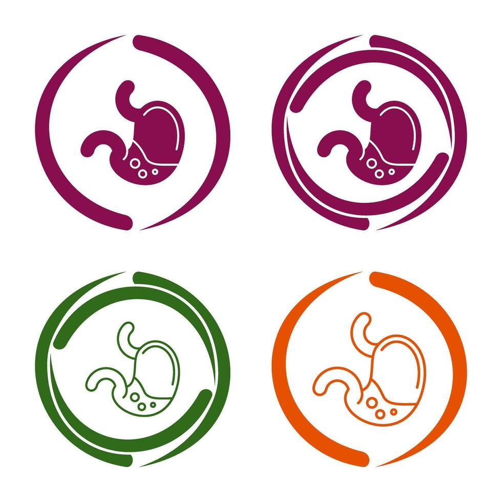 Stomach Vector Icon