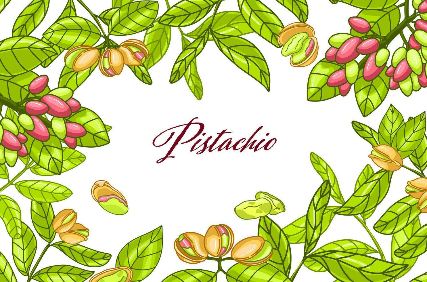 rectángulo color botánica pistacho marco. Clásico vector ilustración en mano dibujo bosquejo estilo. sano comida ingrediente para vegetariano dieta. retro otoño decoración con hojas, nueces, ramas