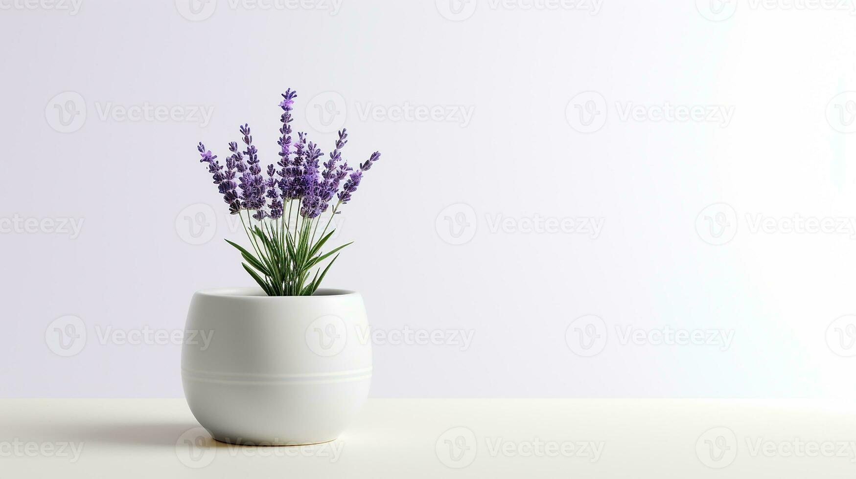 Photo of Lavender flower in pot isolated on white background. Generative AI