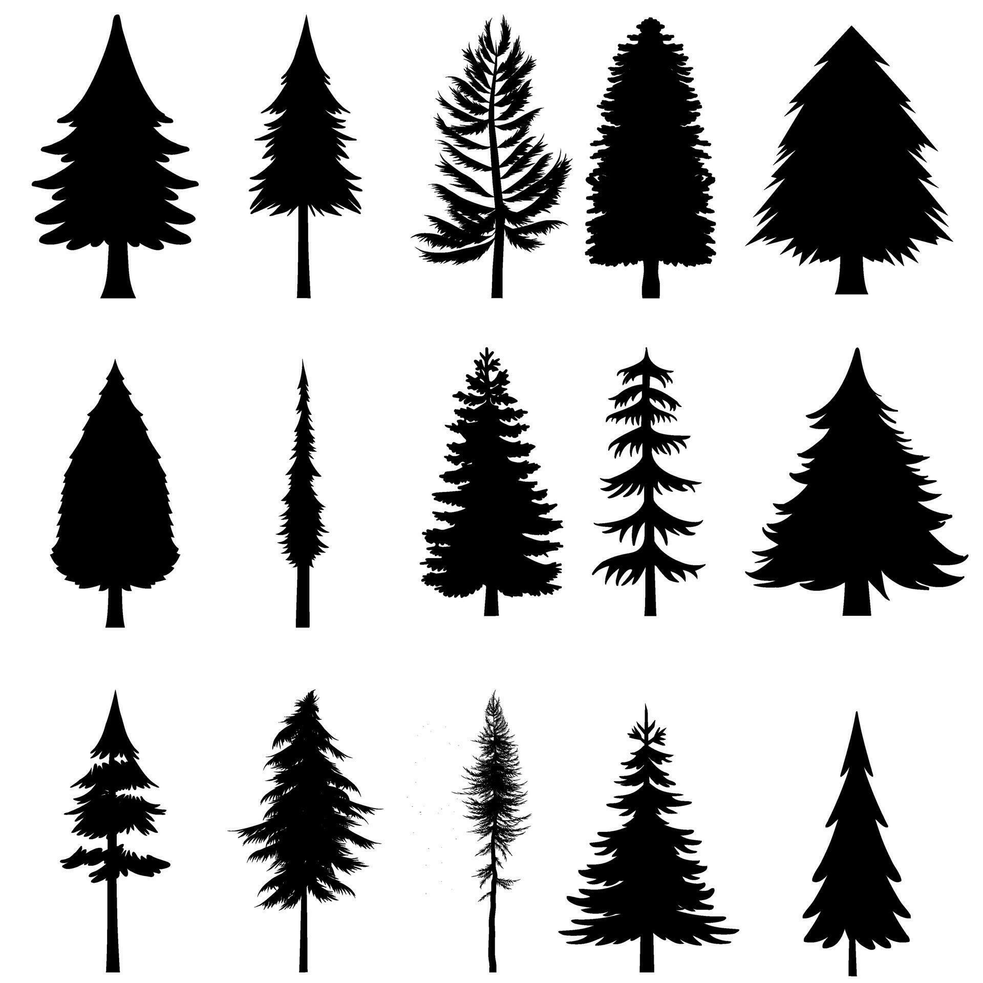 Pine tree icon vector set. Christmas tree illustration sign collection