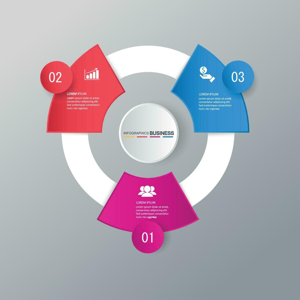 Infographic vector, graph. presentation. Business concepts, parts, steps, processes. Visualization of infographic data. Startup template. - Vector