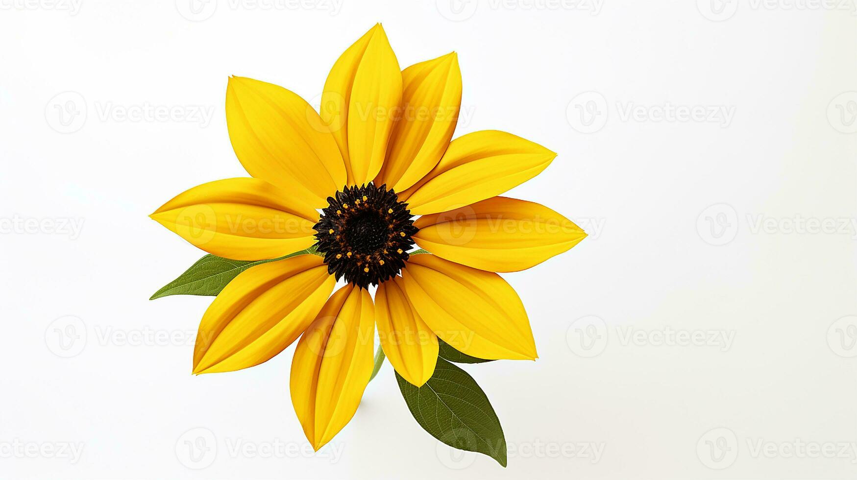 Photo of beautiful Rudbeckia flower isolated on white background. Generative AI