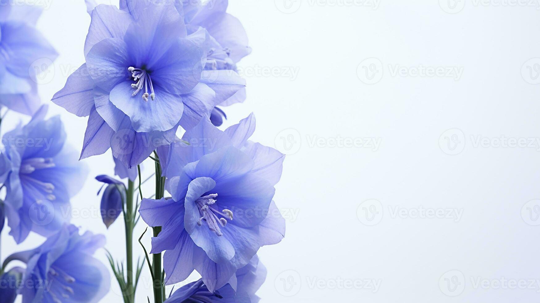 Photo of beautiful Delphinium flower isolated on white background. Generative AI