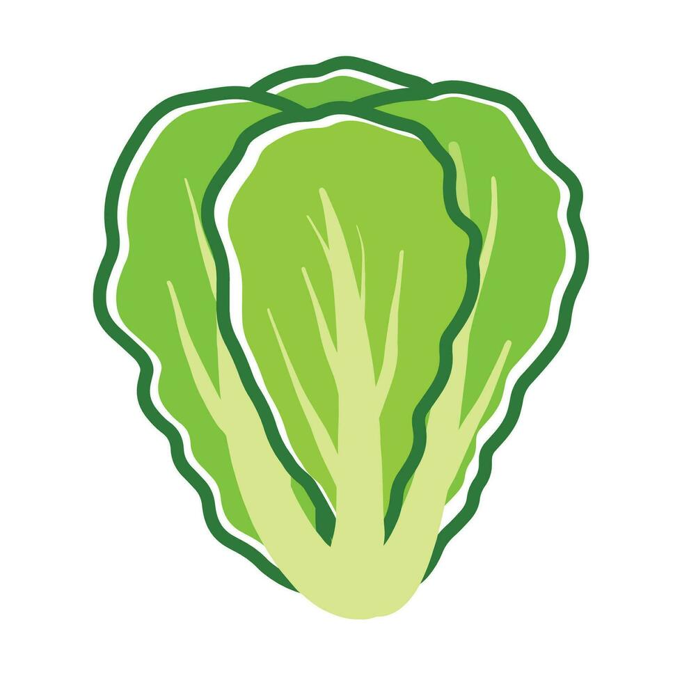 Lettuce Green Vegetable Icon Logo Vector in Handdrawn Doodle Illustration