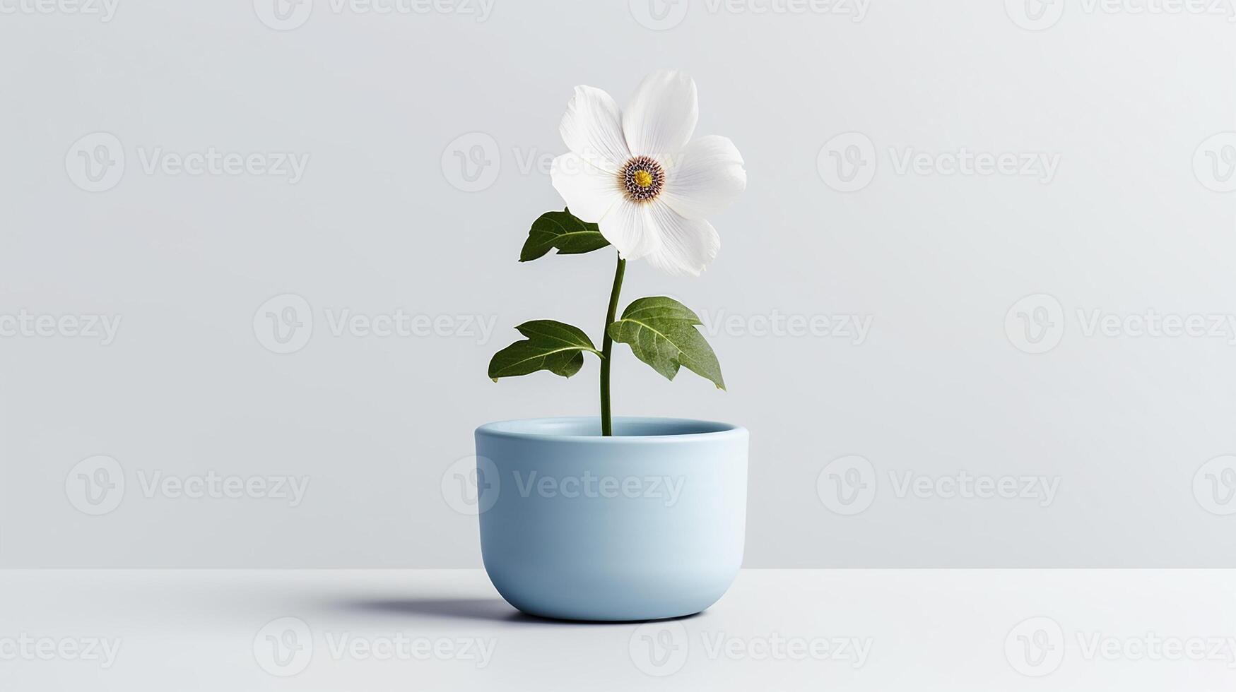 foto de windflower en maceta aislado en blanco antecedentes. generativo ai