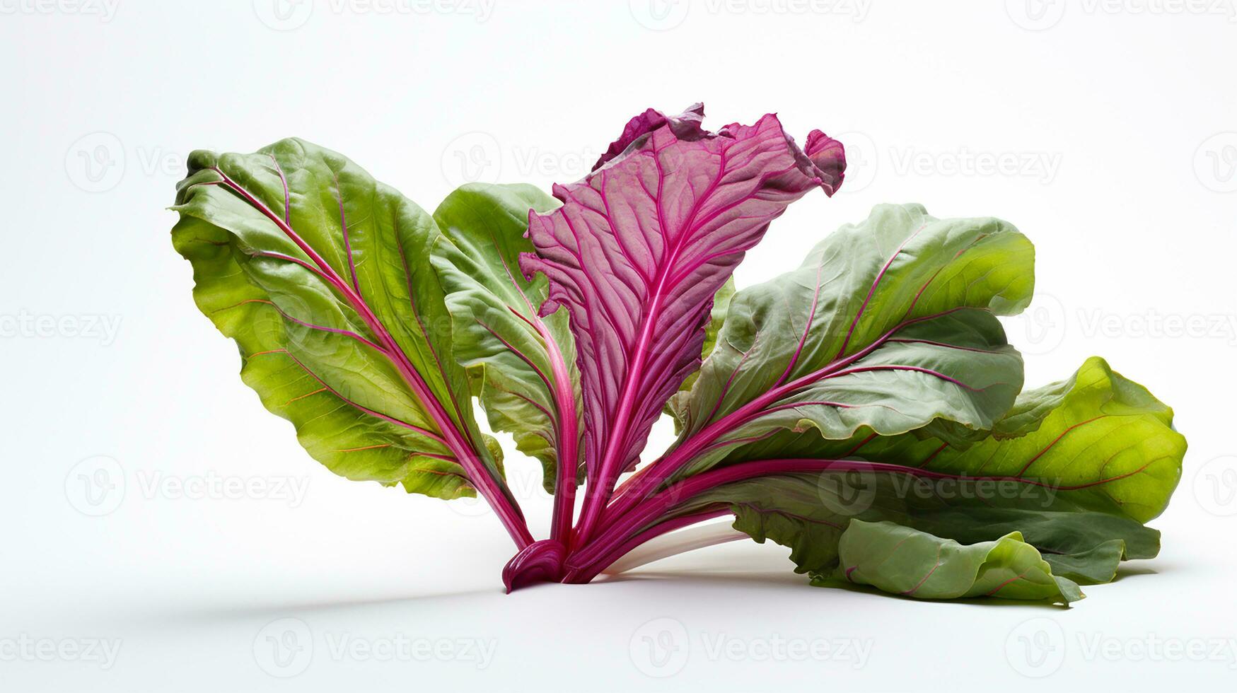 Photo of beautiful Swiss Chard flower isolated on white background. Generative AI