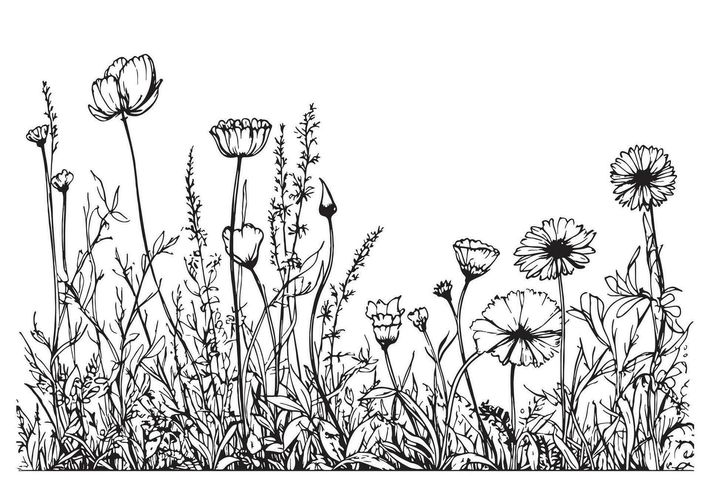 Wild flower field hand drawn sketch in doodle style Vector illustration ...