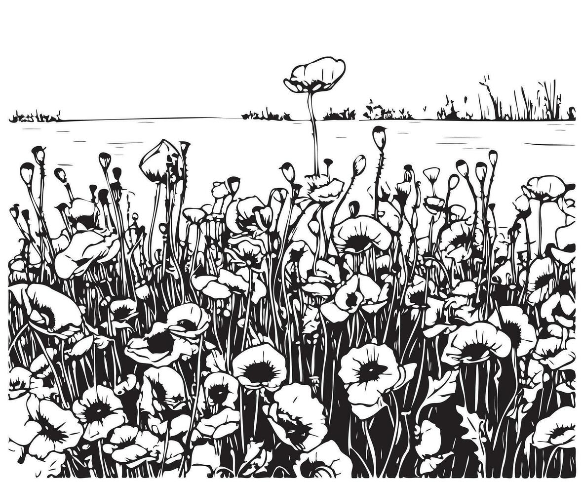 Poppy field sketch hand drawn in doodle style Vector illustration