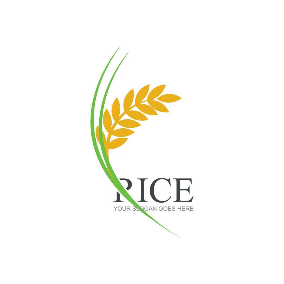 Rice or wheat grain agriculture logo design for your business and product names or for all your ideas vector