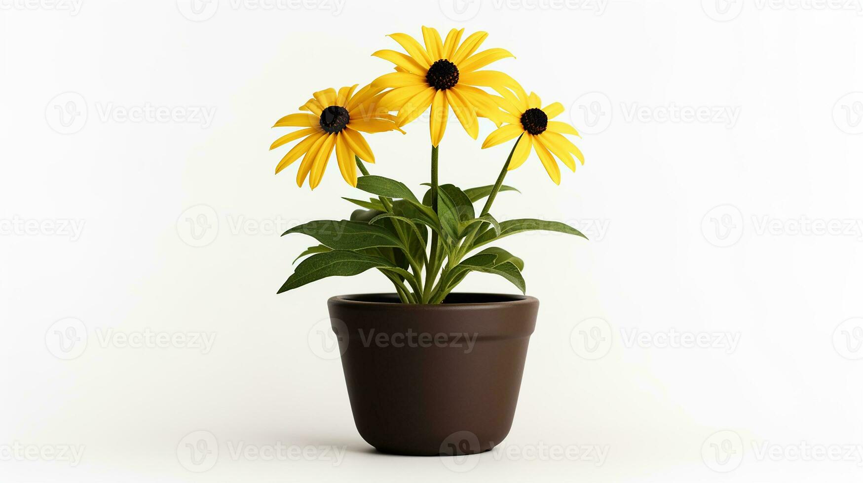 Photo of Black-Eyed Susan flower in pot isolated on white background. Generative AI