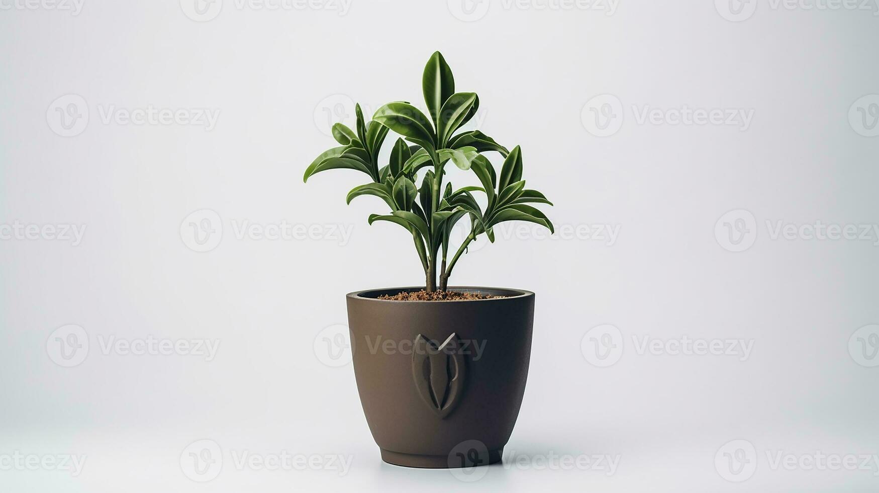 Photo of Fleur-de-lis flower in pot isolated on white background. Generative AI