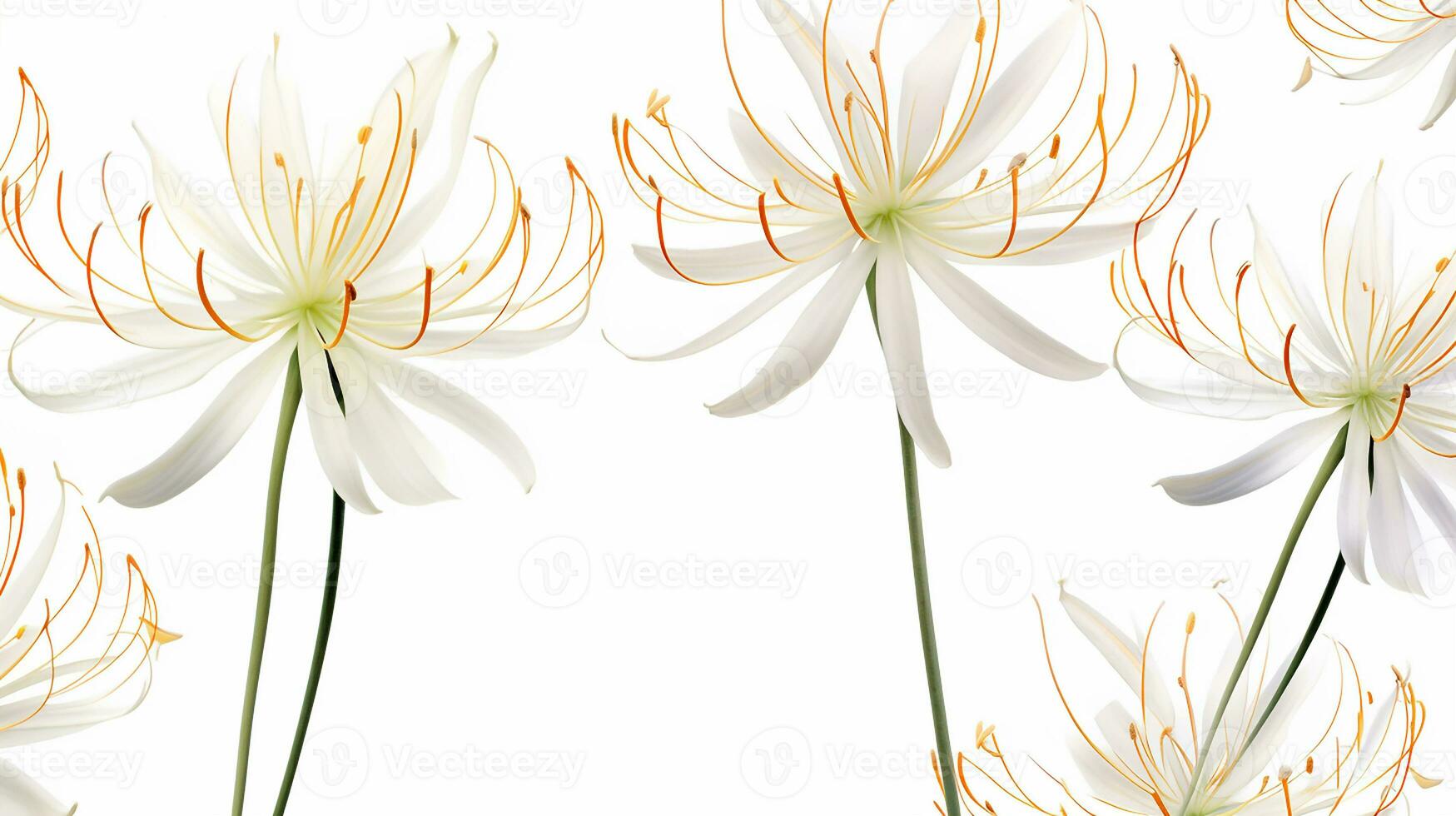 Spider Lily flower patterned background. Flower texture background. Generative AI photo