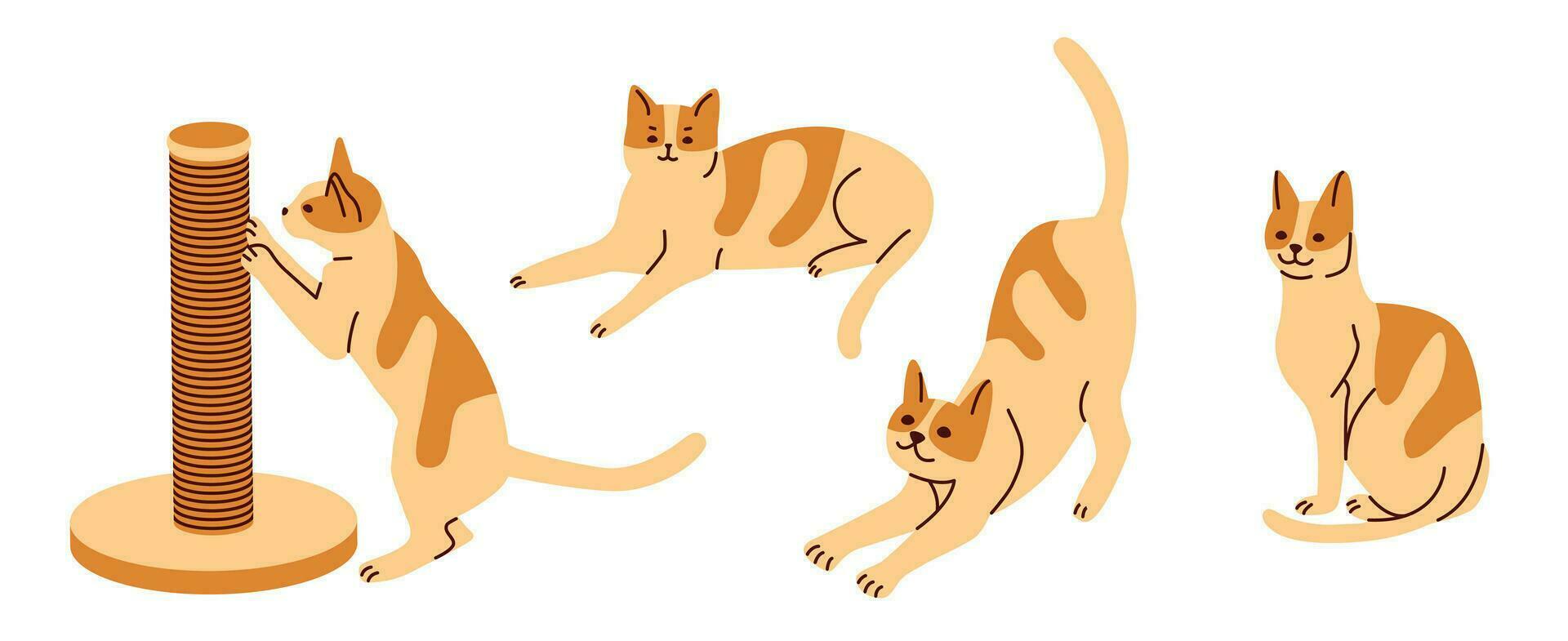 Cats in different poses. Set of drawn domestic animals. Flat vector illustration.