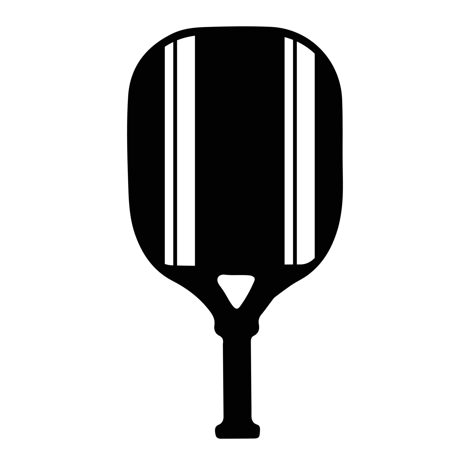 Pickleball vector And Pickleball Paddles 29874369 Vector Art at Vecteezy