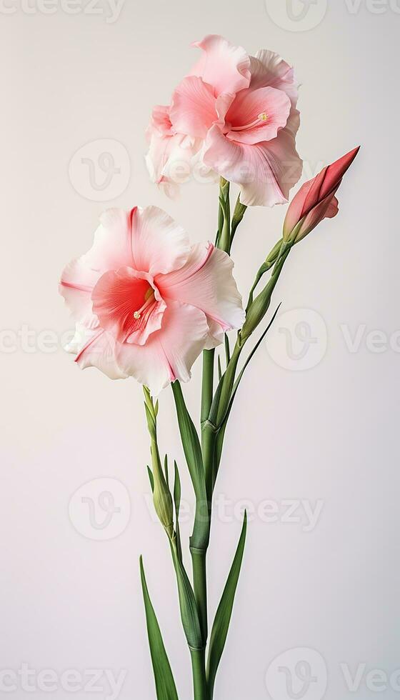 Photo of beautiful Gladiolus flower isolated on white background. Generative AI