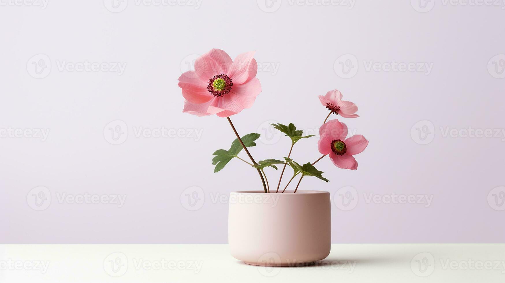 foto de windflower en maceta aislado en blanco antecedentes. generativo ai