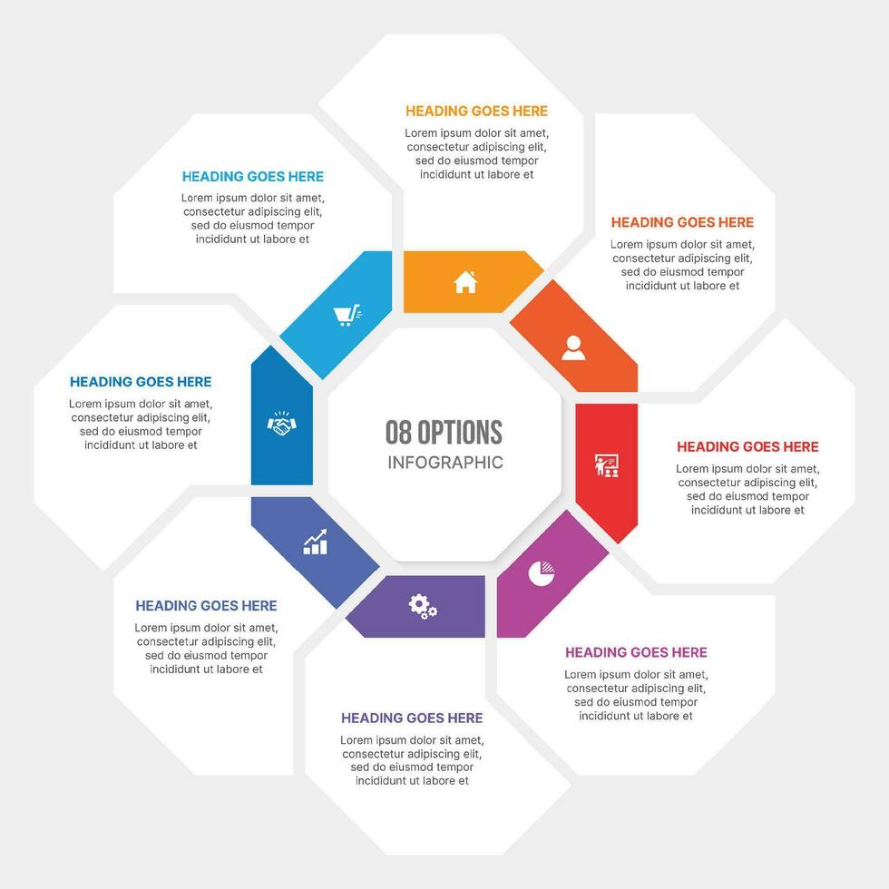 ciclo infografía modelo diseño con 8 etapas vector