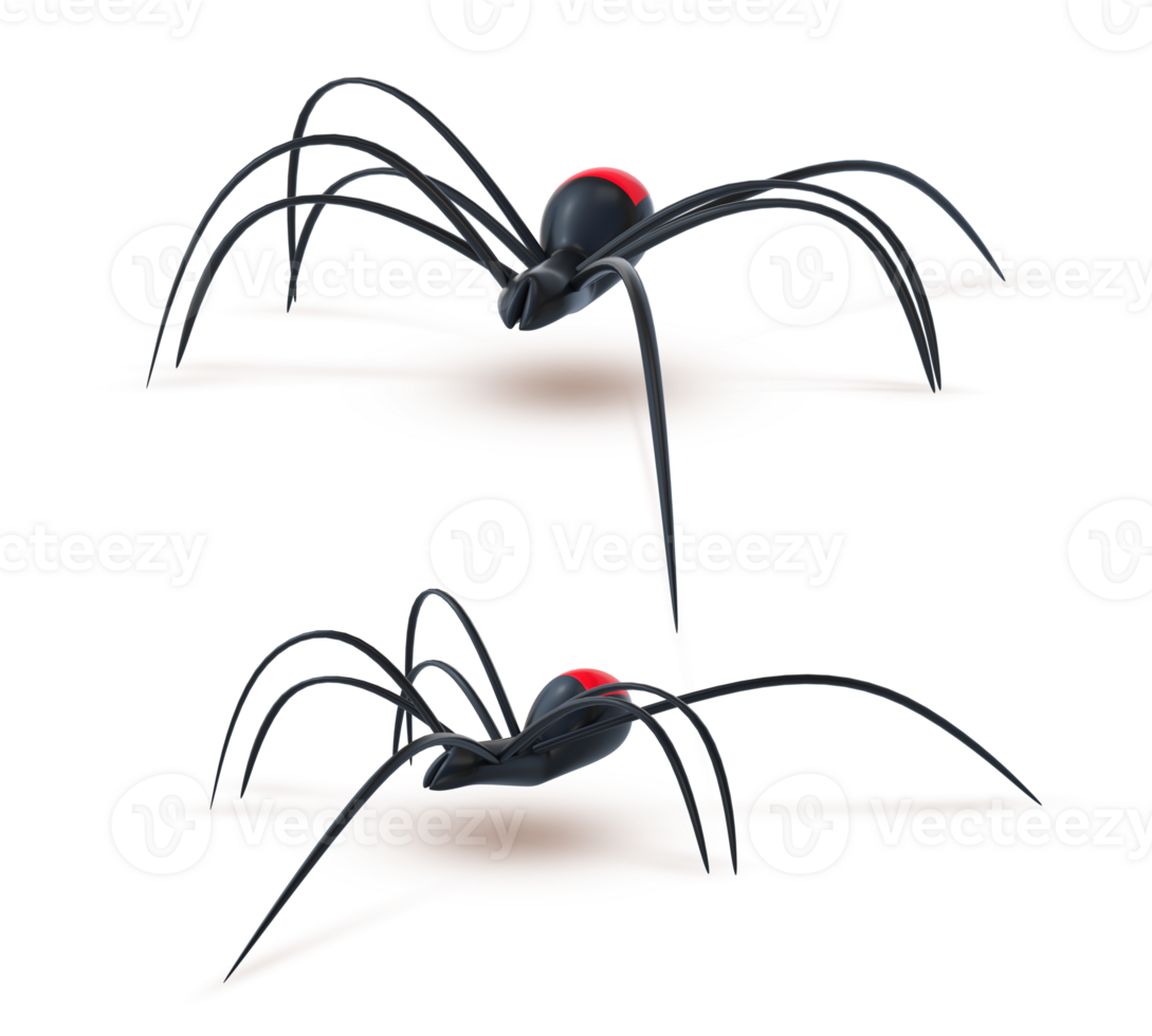 3D Rendering Black Spider Side And Frontside View png