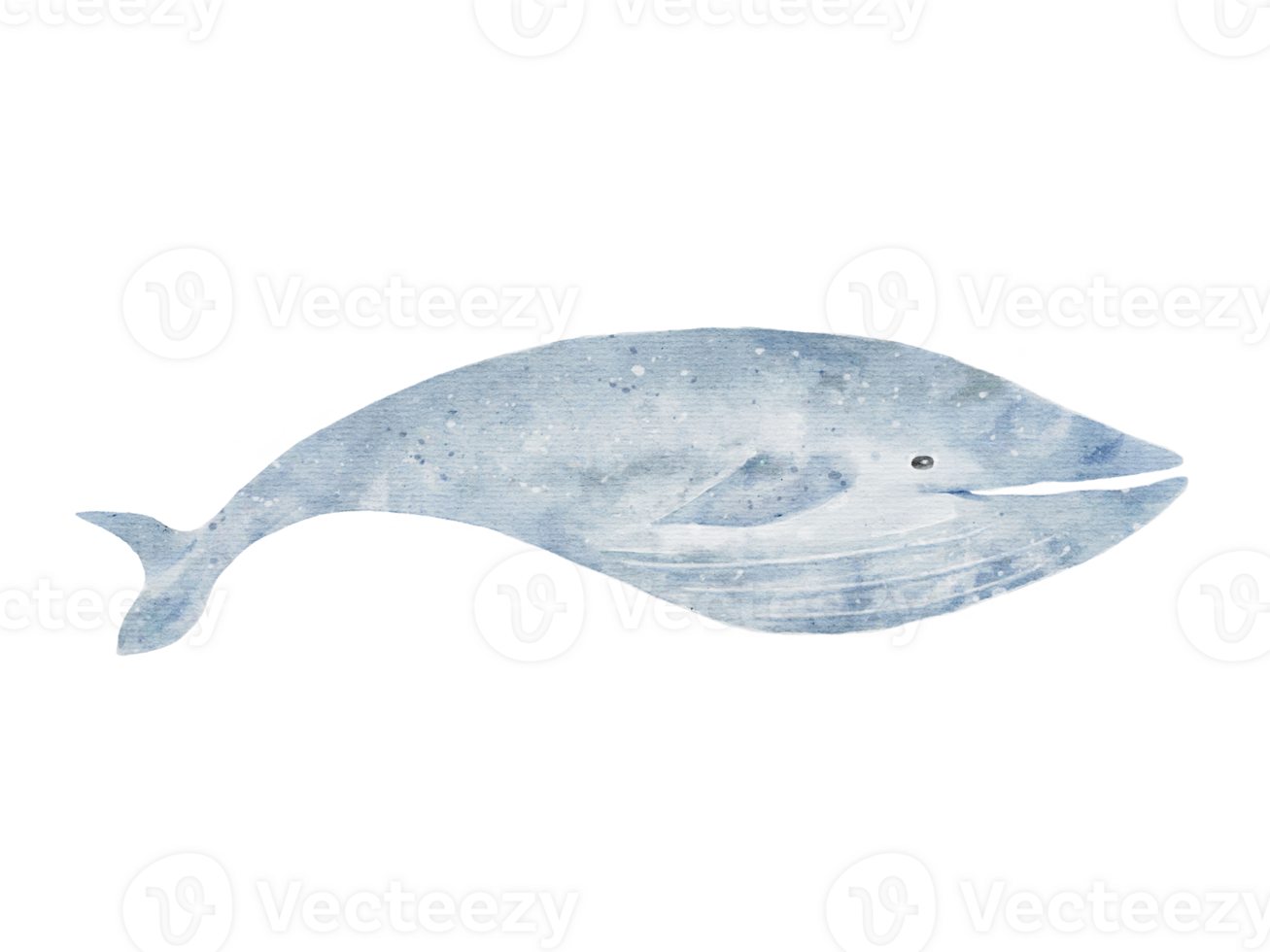 set of Blue whale drawing in watercolor isolated on transparency background png
