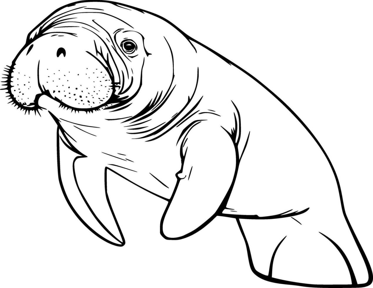 Realistic Manatee Vector Illustration