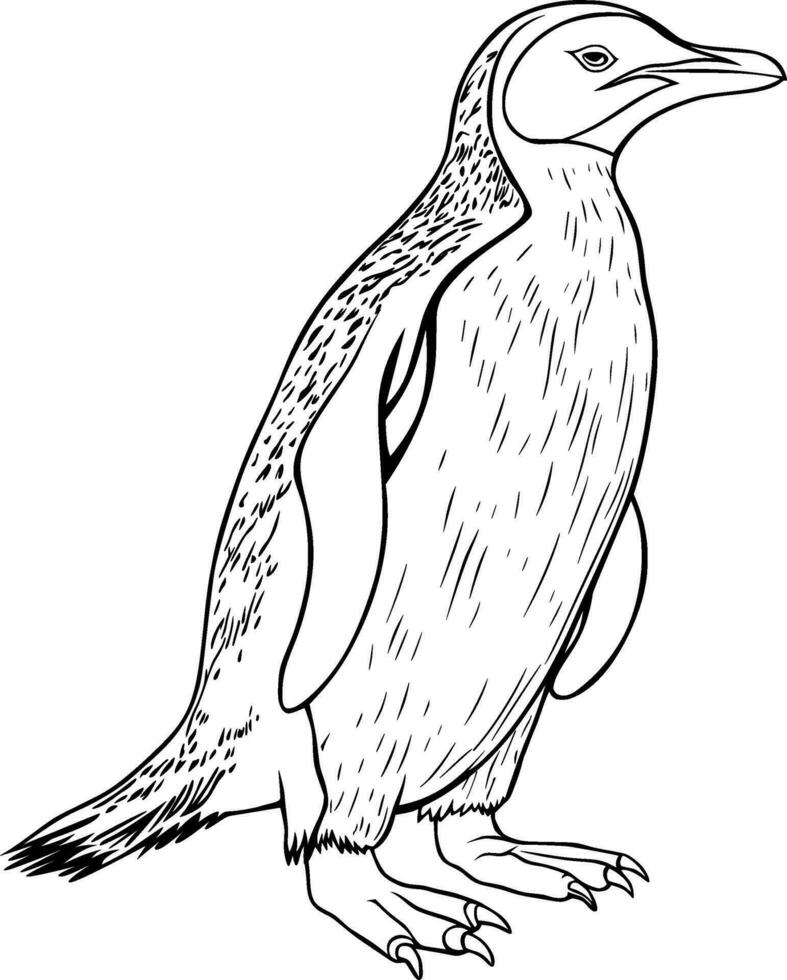 Realistic Penguin Vector Illustration