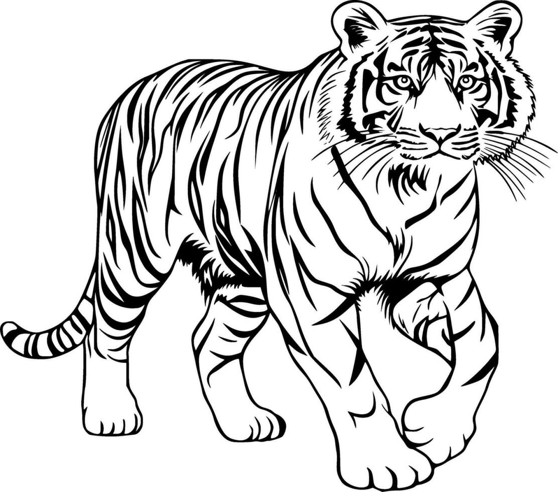 Realistic Tiger Vector Illustration