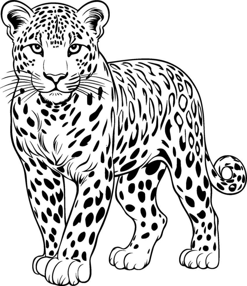 realista leopardo vector ilustración