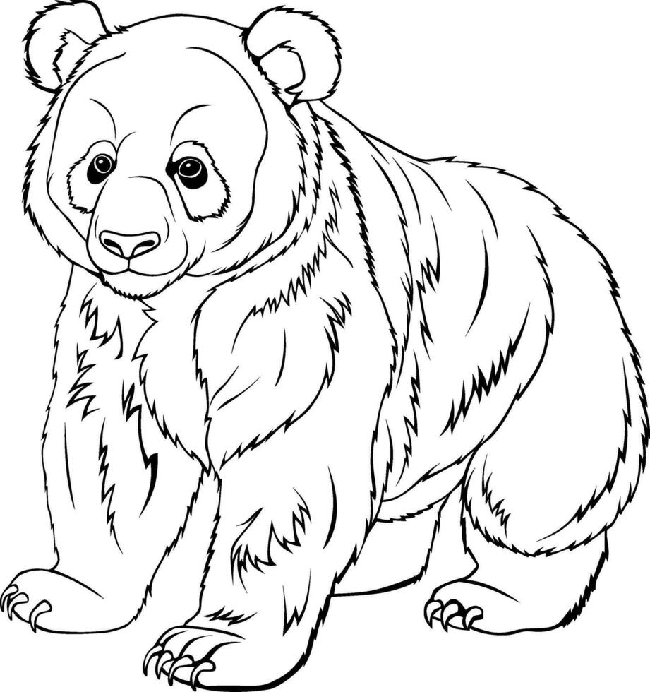 realista panda vector ilustración