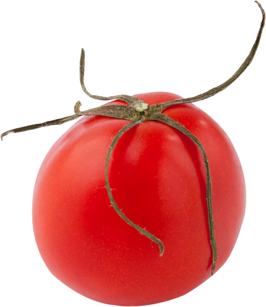 isolated tomato on transparent background. png