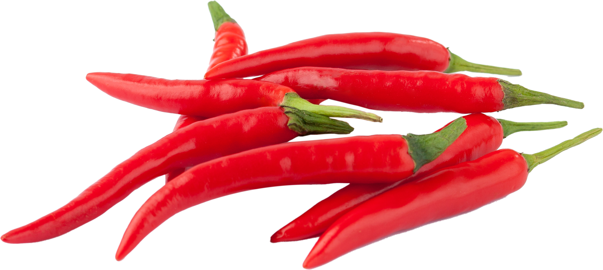 isolated red chilli on transparent background. png