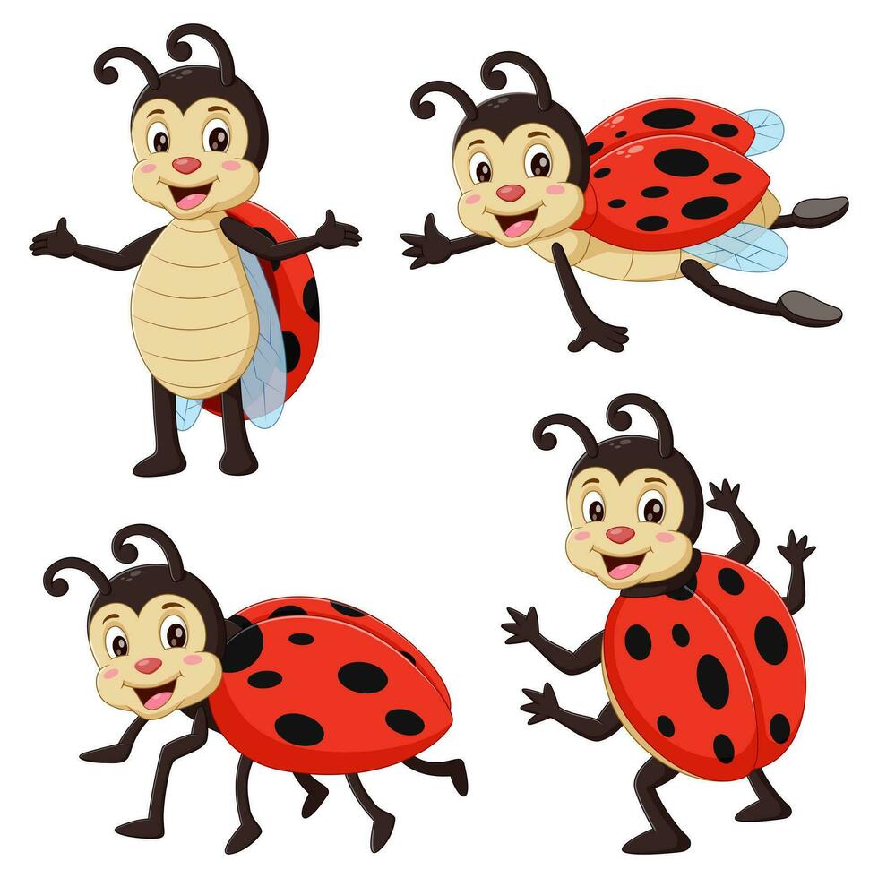 Insect ladybugs set, cute small red bugs. Vector illustration
