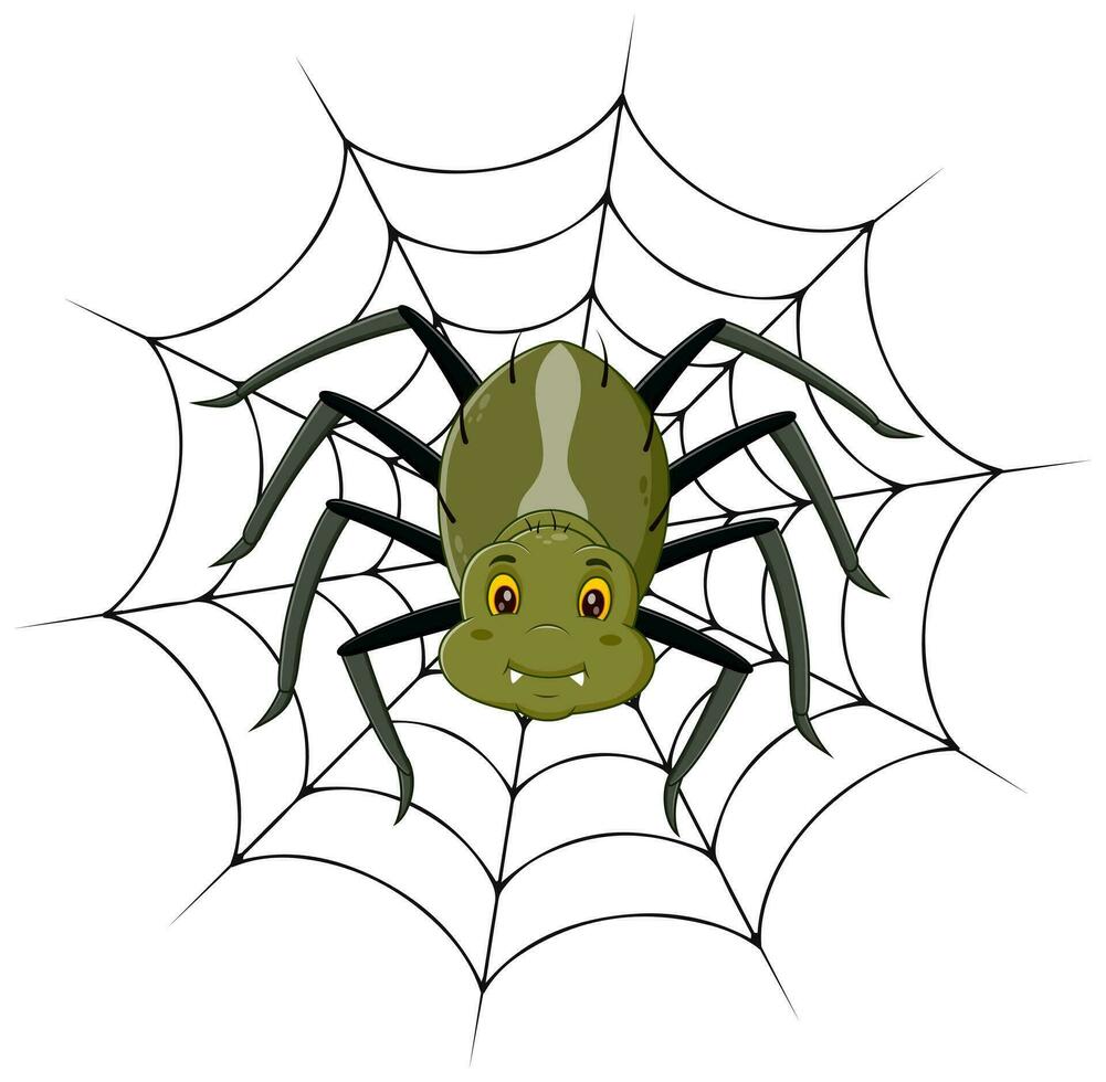 Cartoon spider on the cobweb. Vector illustration