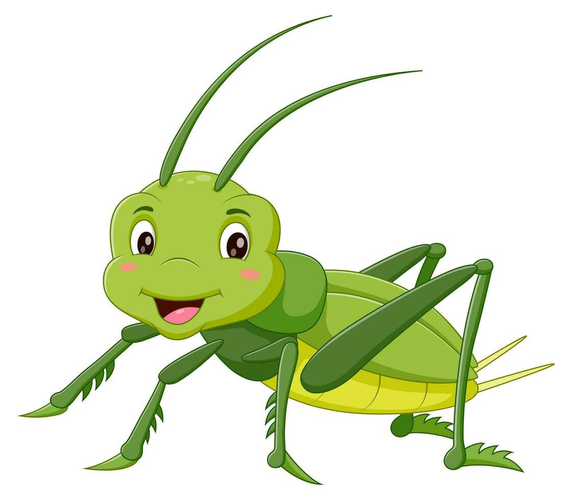 Cartoon happy grasshoper. Vector illustration