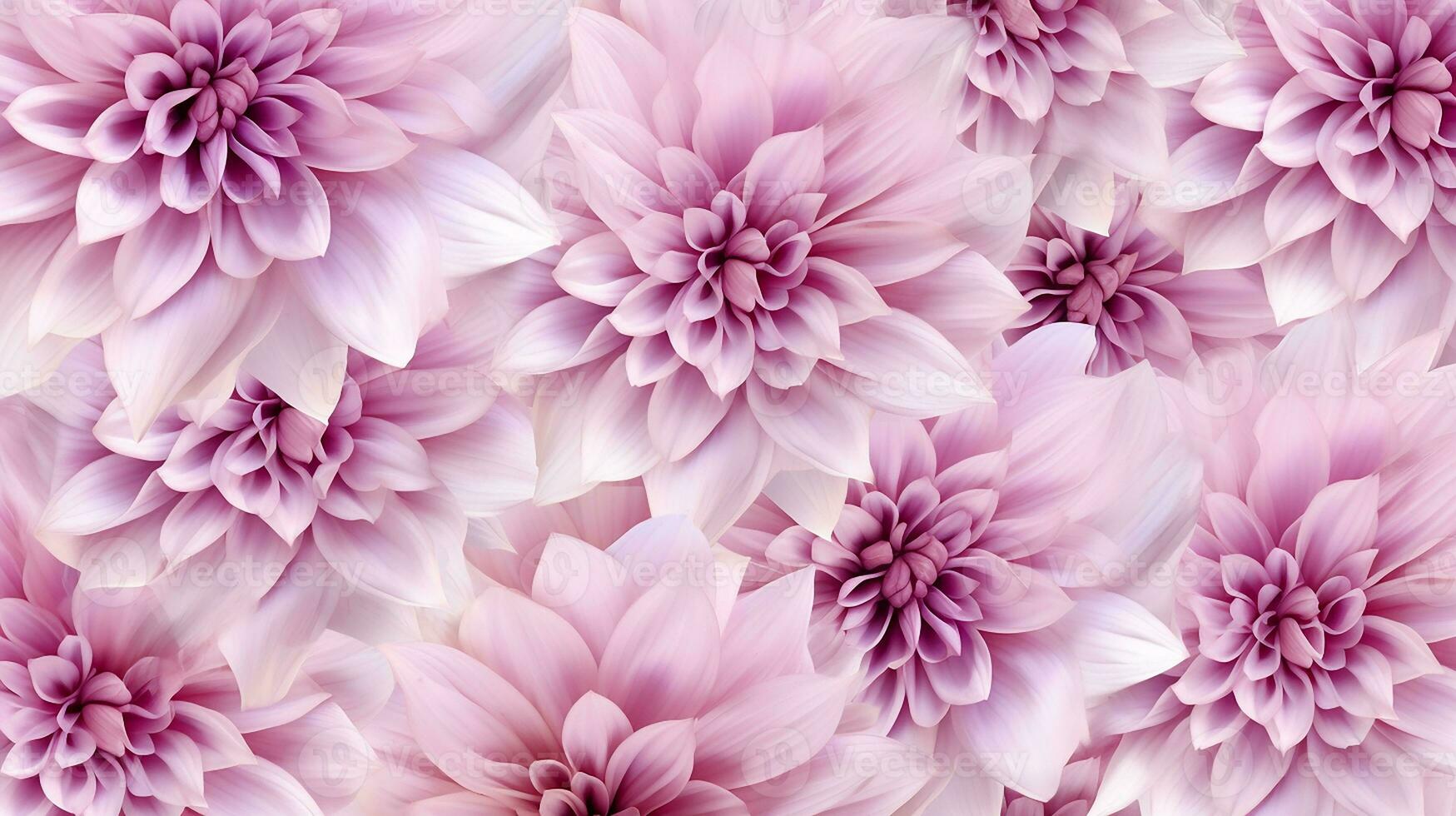 Aster flower pattern background. Aster flower background texture. Generative AI photo