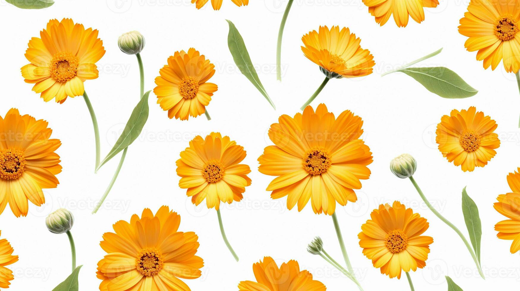 Calendula flower pattern background. Flower background texture. Generative AI photo