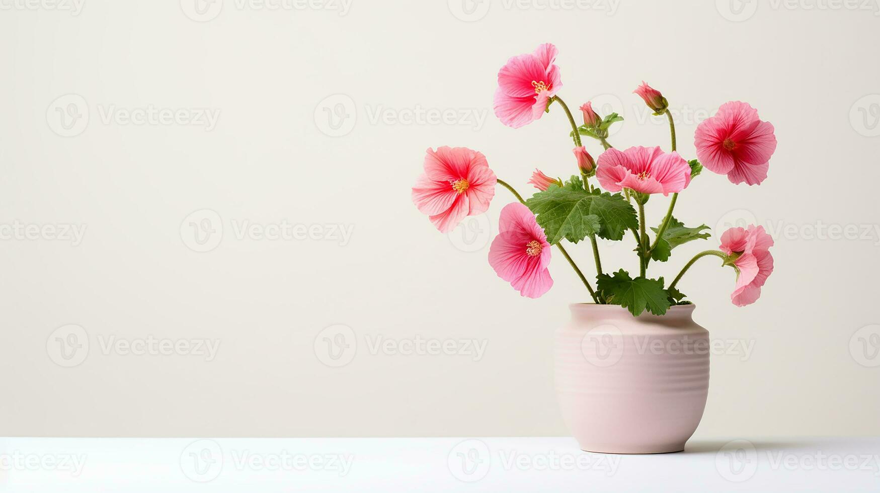 Photo of Hollyhock flower in pot isolated on white background. Generative AI