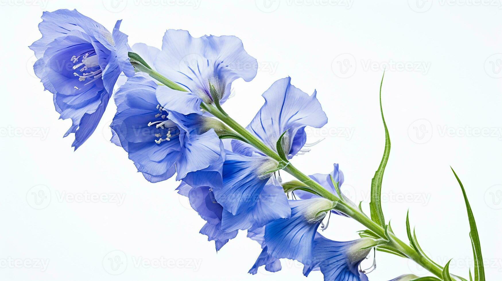 Photo of beautiful Delphinium flower isolated on white background. Generative AI