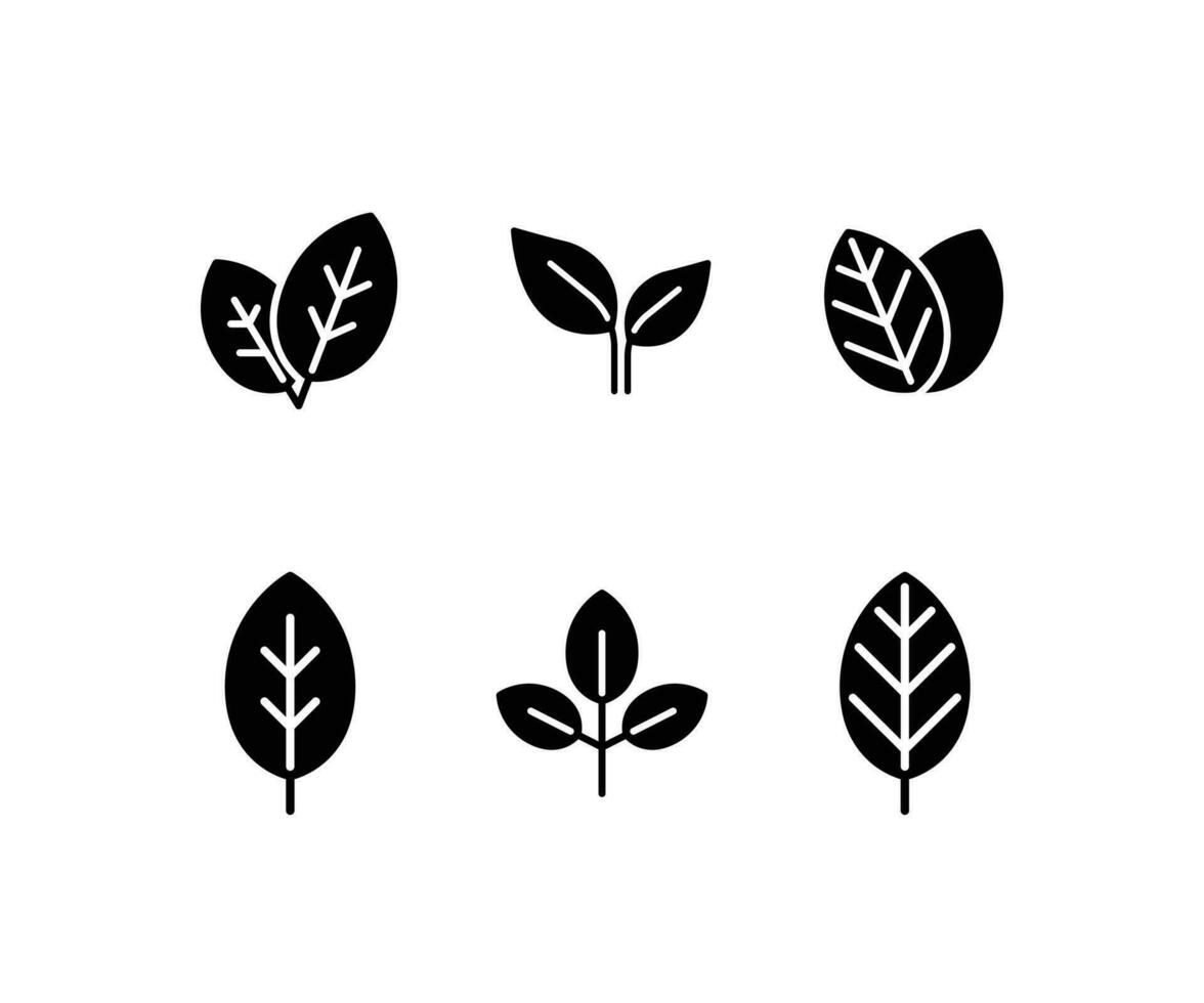 Nature leaves. Set of different types of leaves. Eco friendly leaf symbol. Naturalness. Solid icon, eco set of black line . Vector illustration. Design on white background. EPS10