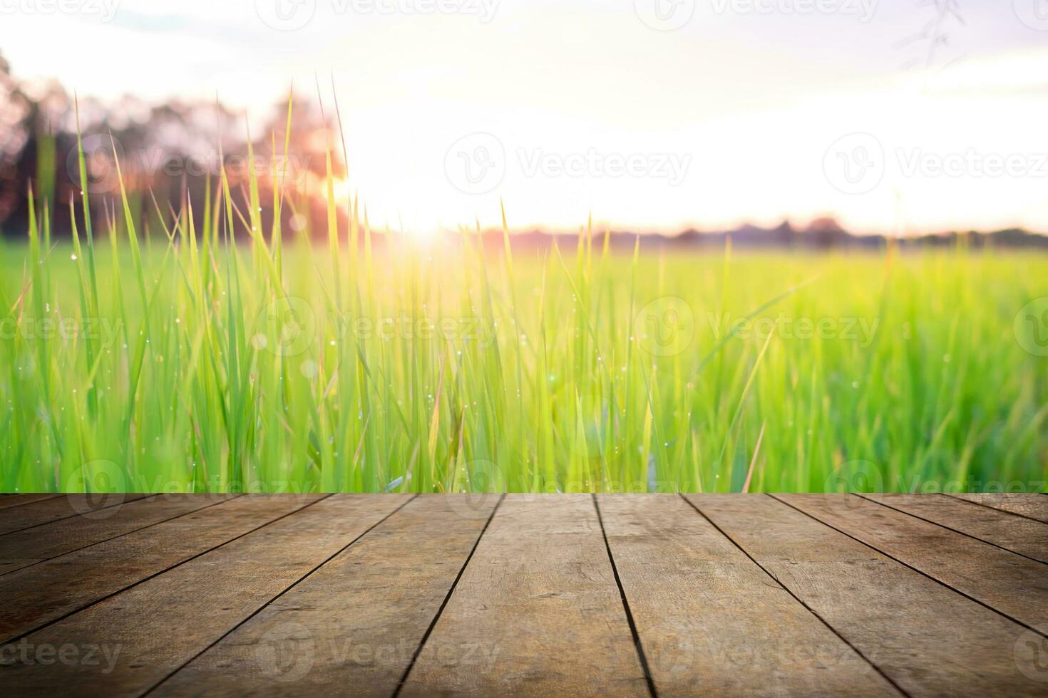 Old wooden floor beside natural blurred green rice field and the sun is rising with white clound background. photo