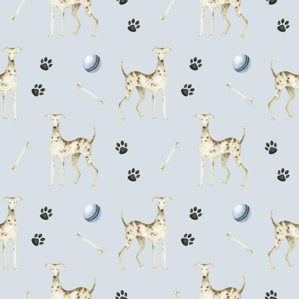 A whippet dogs. A pet dogs. The hound dog Dogs, paws, balls and bones. Watercolor seamless pattern.Cute pet-themed print for, fabric, design, veterinary clinic,pet store, logo,scrapbooking, pet tags. vector
