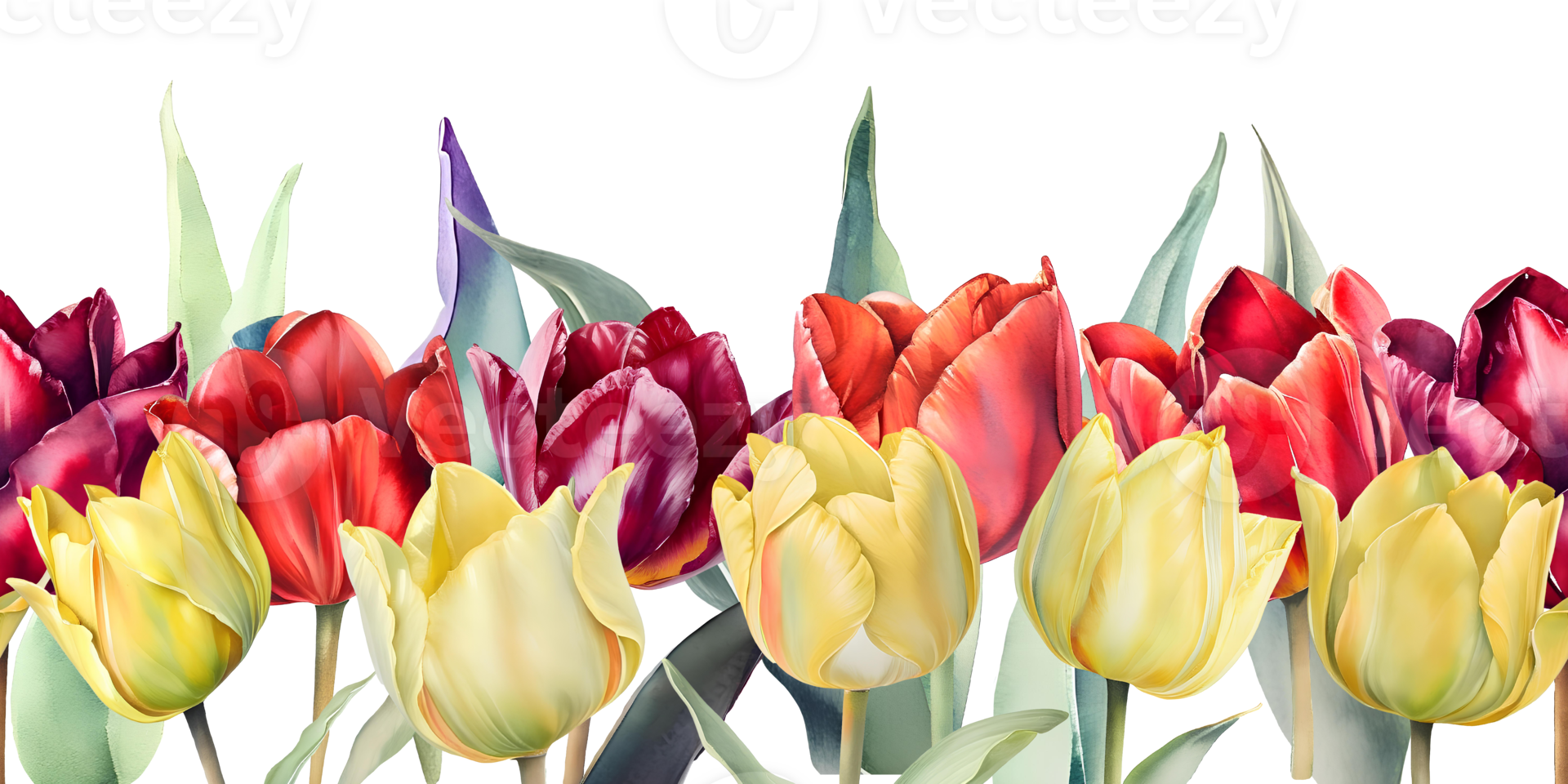 Seamless border of watercolor tulips flowers. Floral design for greeting cards, banners, posters. AI Generative png