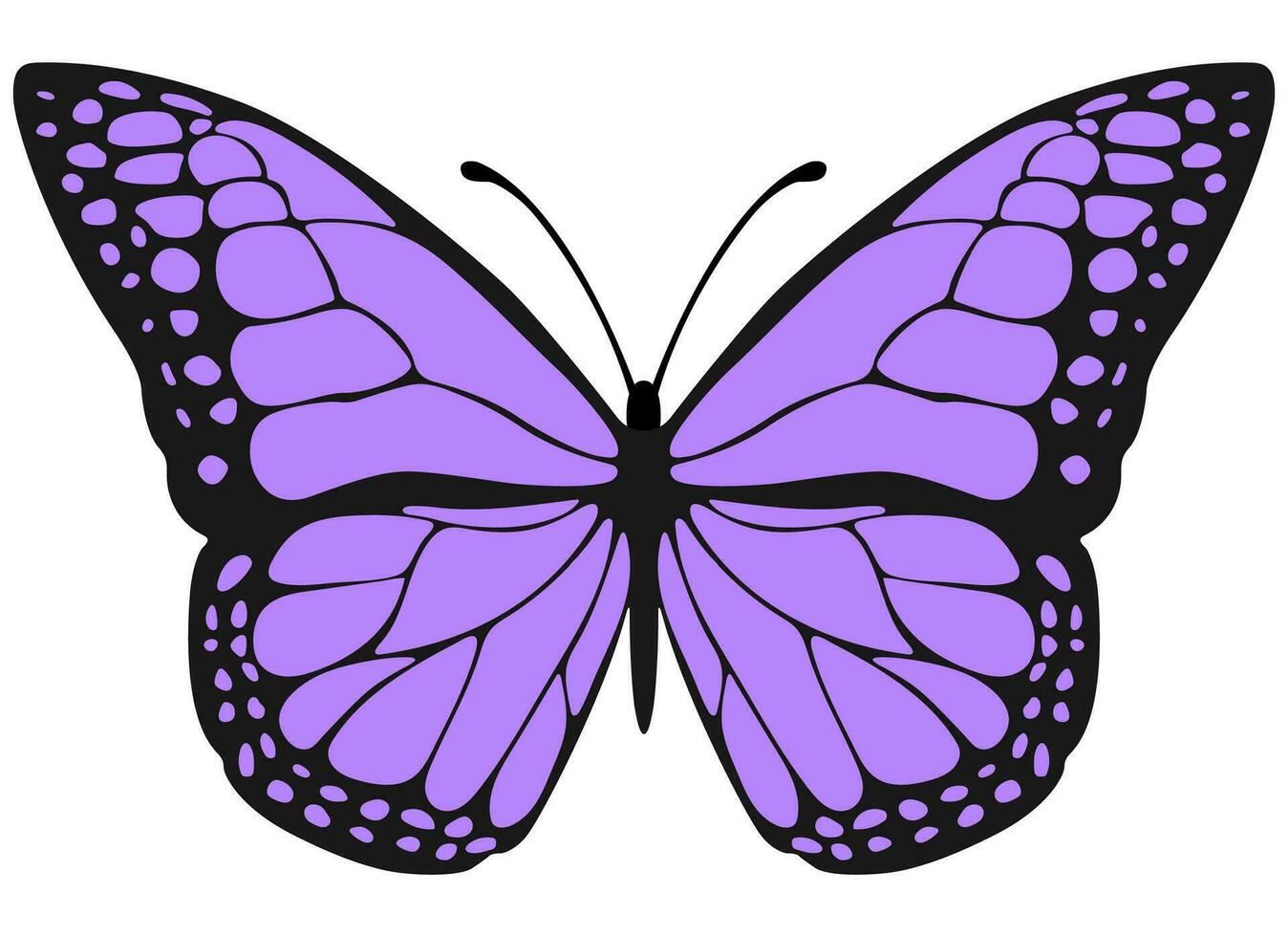 Tropical elegant butterfly with colorful wings isolated on white background. vector