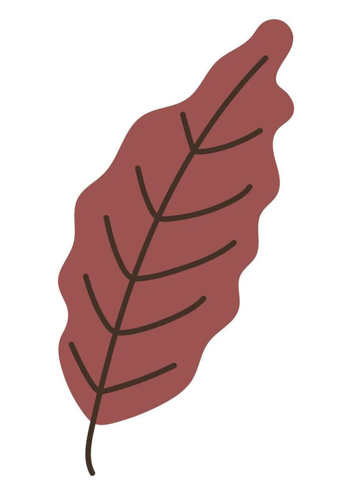 Cute autumn fallen brown leaf. vector