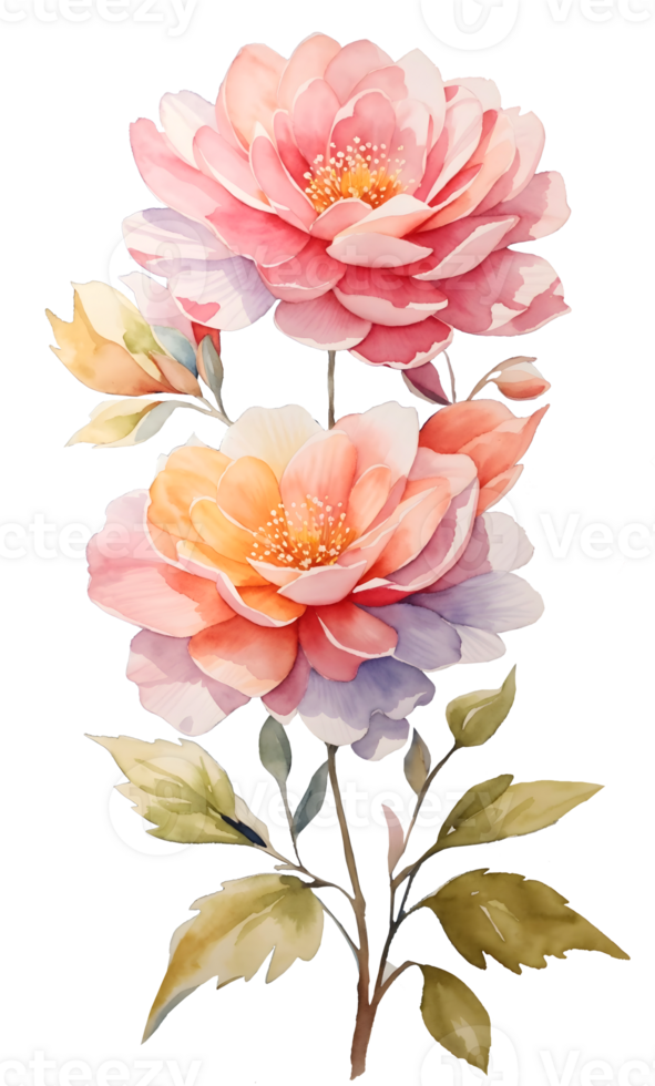 Watercolor and painting blooming color flowers. Plants and floral Illustration. AI Generated png