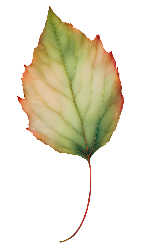 Plant and Floral watercolor green leaf illustration. AI Generated png