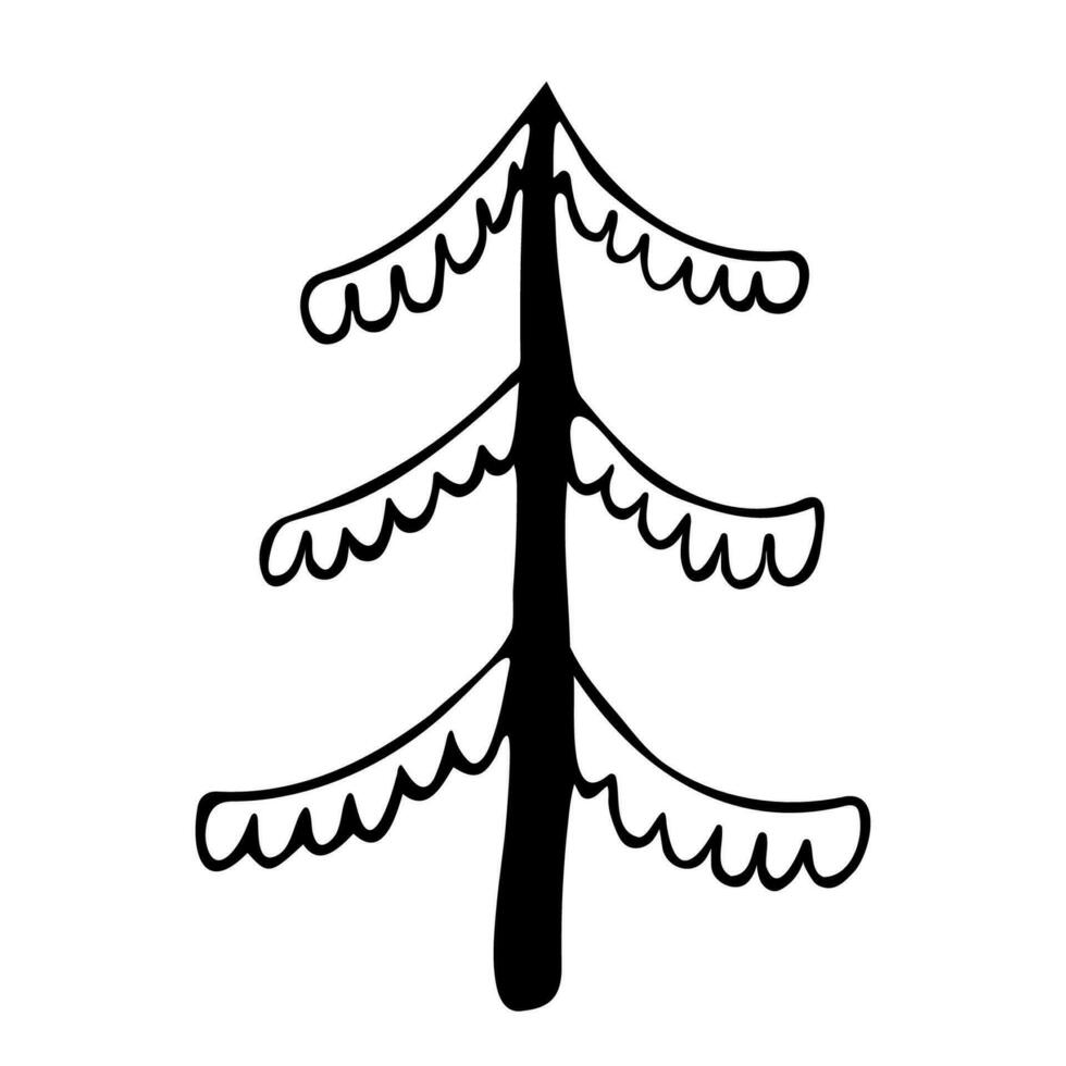 New year element fir or pine. Hand drawn Sketch Christmas tree on a white background. vector